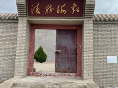 -金塔沙漠胡杨林景区