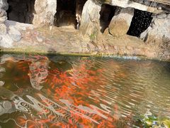 -红螺寺