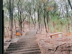 -榴花公园