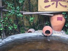 -仁爱团泊湖温泉中心