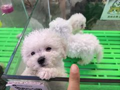 -百荣世贸商城