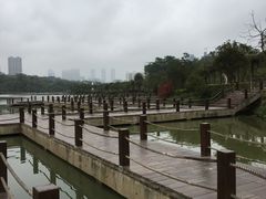 -广西壮族自治区药用植物园