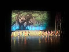 -顺德演艺中心大剧院