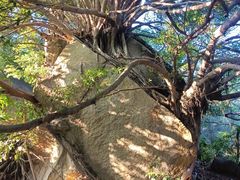 -草庵摩尼教遗址公园