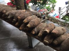 -悦州山庄(奥体路店)