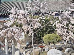 -开封包公祠