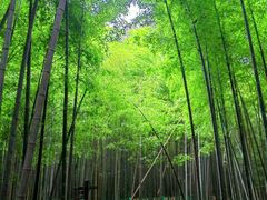 -宝岩生态观光园