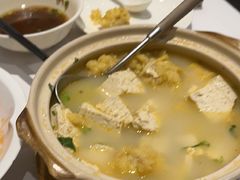 酥肉煨豆腐-眉州东坡(团结湖店)