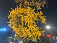 -扬州狮子楼·非遗淮扬菜(东关街店)