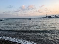 -小麦岛公园