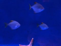 -沈阳海洋探索中心