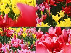 -长春公园(普阳街道)