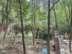 -中山市树木园