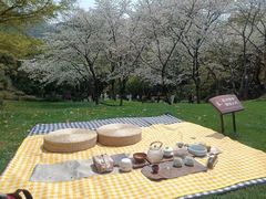 -中国茶叶博物馆(双峰馆区)
