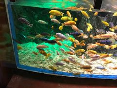 -太平洋海底世界