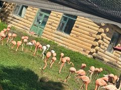 -哈尔滨北方森林动物园