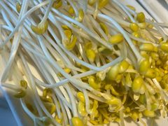 -张大胡子鱼头火锅酒楼(长益路店)