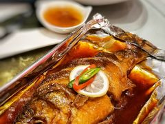 铁板锡纸鲈鱼-高第街56号港式餐厅(山大路店)