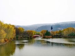 -黄帝陵