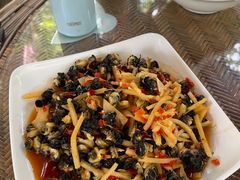 -晓雯人家