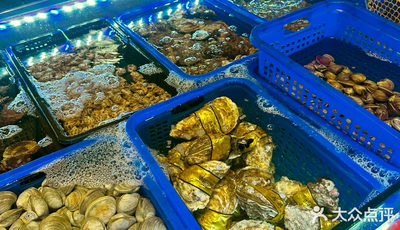东山岛高铁下车直奔这家店，简直海鲜控的天堂‼️