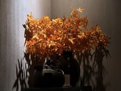 -Dragonfly 悠庭·按摩Spa(苏州中心广场店)