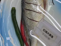 -大众海鲜(巨龙北路店)