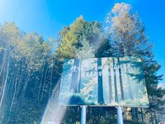 -汤旺河林海奇石景区