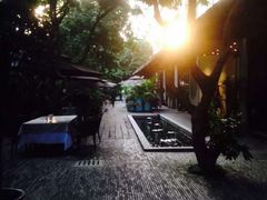 -T館·花园艺术餐厅