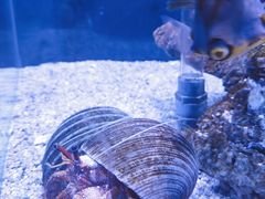 -太平洋海底世界