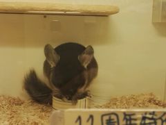 -龙猫仔乐园(惠福东路店)