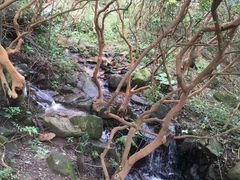 -大姆山草场
