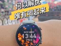 -巴伐利亚啤酒坊(意式风情街店)