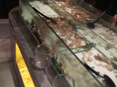 -星伦多自助料理(华润万象城店)