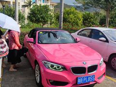 -三亚亚龙湾金棕榈度假酒店