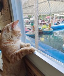 -萌宠亲子动物乐园(槐房万达店)