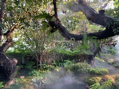 -Chom Cafe and Restaurant