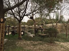 -上海野生动物园
