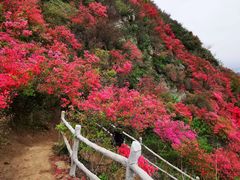 -木兰云雾山