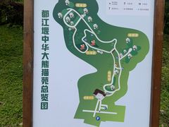 -都江堰中华大熊猫苑