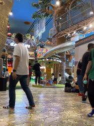 -卡通尼·Safari非洲探索乐园·生日会(金桥国际商业广场店)