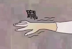 -香薇妮丝女子减肥院