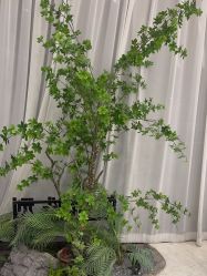 -简影造型·自选烫染接发salon