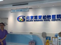 -北京观赏动物医院·24小时大型综合·猫专科·异宠专科