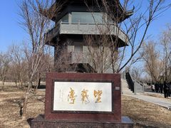 -盐城丹顶鹤湿地生态旅游区