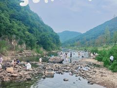 -北仑森林植物园