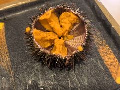 -海胆小馆(东北水饺·春柳店)