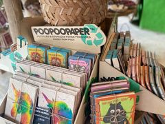 -大象粑粑造纸公园