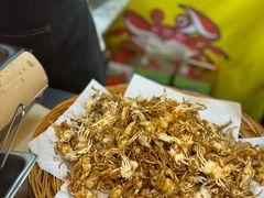 -西归浦每天偶来市场