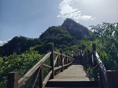 -大岭沟猕猴桃谷风景区